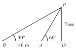Solution diagram