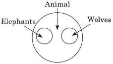 Solution diagram