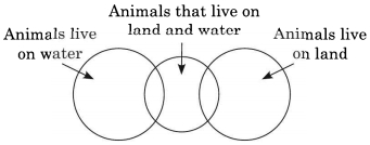 Solution diagram