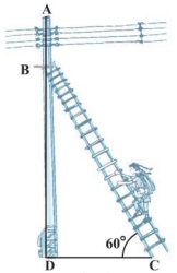 Question diagram
