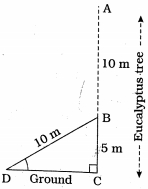 Solution diagram