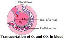 Solution diagram