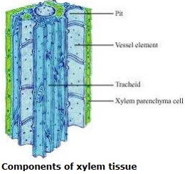 Solution diagram