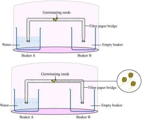 Solution diagram
