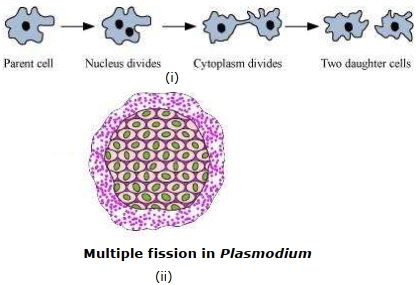 Solution diagram