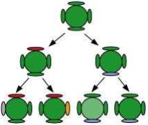 Solution diagram