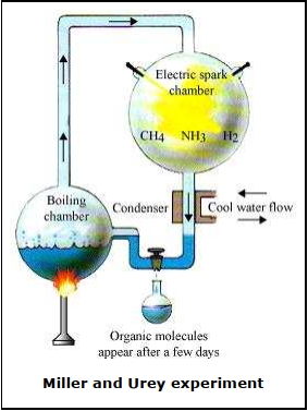 Solution diagram