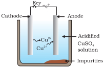 Option C