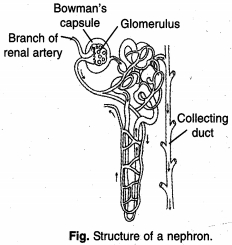 Solution diagram