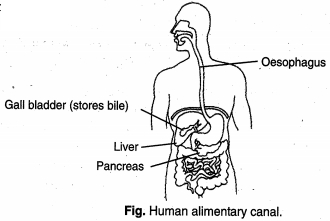 Solution diagram