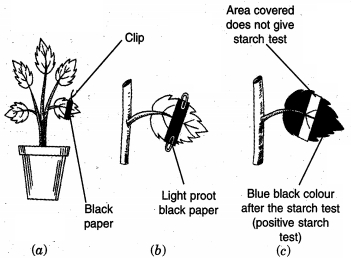 Solution diagram