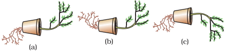 Question diagram