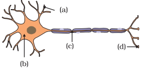 Question diagram