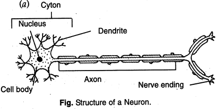 Solution diagram