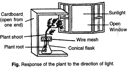 Solution diagram