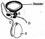 Question diagram