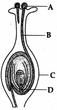 Question diagram