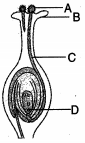 Question diagram