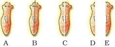 Question diagram