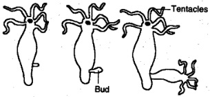 Solution diagram