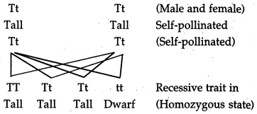 Solution diagram