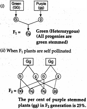 Solution diagram