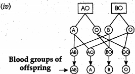 Solution diagram