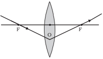Option B