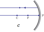 Option C