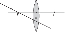 Option D