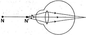 Question diagram