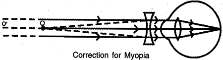 Solution diagram