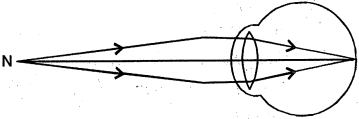 Solution diagram