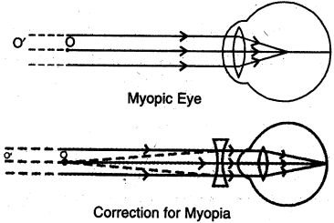 Solution diagram