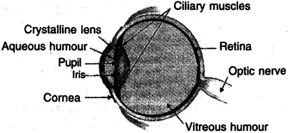 Solution diagram