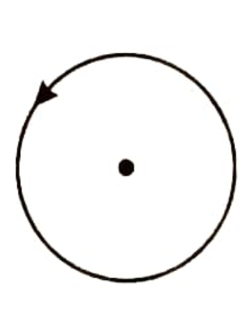 Option C