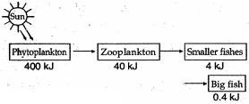 Question diagram