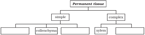 Question diagram