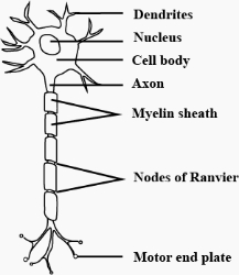 Solution diagram