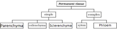 Solution diagram
