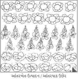 Solution diagram