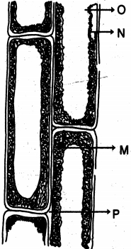 Question diagram