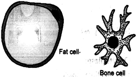 Solution diagram