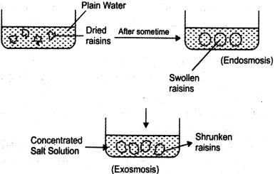 Solution diagram
