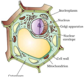 Solution diagram