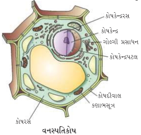 Question diagram