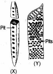 Question diagram