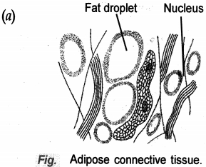 Solution diagram