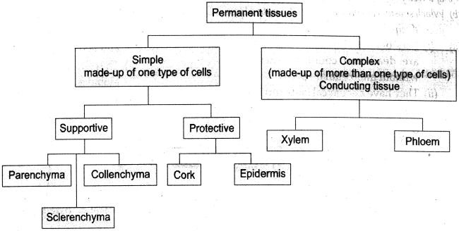 Solution diagram