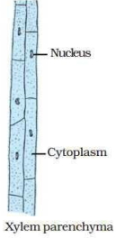 Solution diagram